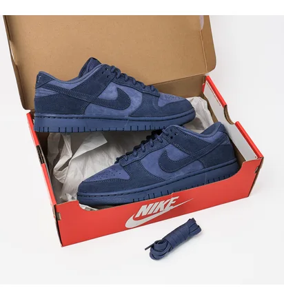 Кросівки чоловічі Nike Dunk Low Retro Se Blue IB6651-400