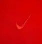 Кофта мужская Nike Rozpinana Chi M Nk Df Std Issue Hd Fz Red DB1075-657