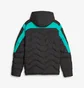 Пуховик мужской Puma Mercedes-Amg Petronas Mt7 Ecolite Black 621146-01