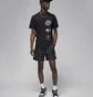 Футболка мужская Air Jordan Brand Logo Stack Black FN6027-010