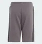 Шорты детские Adidas Adicolor Grey IJ9731