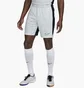 Шорти чоловічі Nike Hritg Wstpck-Rorschach White FN2413-043