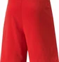 Шорти чоловічі Puma Shorts Teamrise Short Red 704942-01
