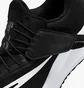 Кроссовки женские Nike Air Zoom Pegasus Flyease Black Dj7383-001