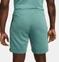Шорты мужские Nike M Nsw Sw Air Short Ft Turquoise FN7701-361