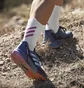 Кроссовки женские Adidas Terrex Agravic Flow 2 Trail Running Shoes Blue Gz1901