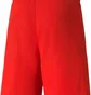 Шорты мужские Puma Teamliga Shorts Red 704924-01