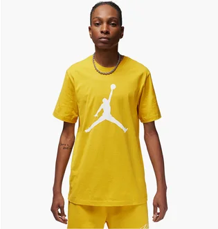 Футболка мужская Air Jordan T-Shirt Jumpman Yellow CJ0921-752