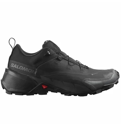 Кроссовки мужские Salomon Cross Hike Gtx 2 Black 417301