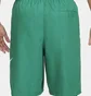 Шорти чоловічі Nike Club Woven Shorts Green FN3303-365