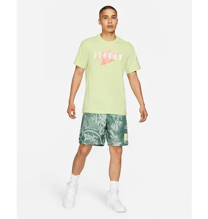 Футболка чоловіча Air Jordan Jumpman Air Green CZ8303-352