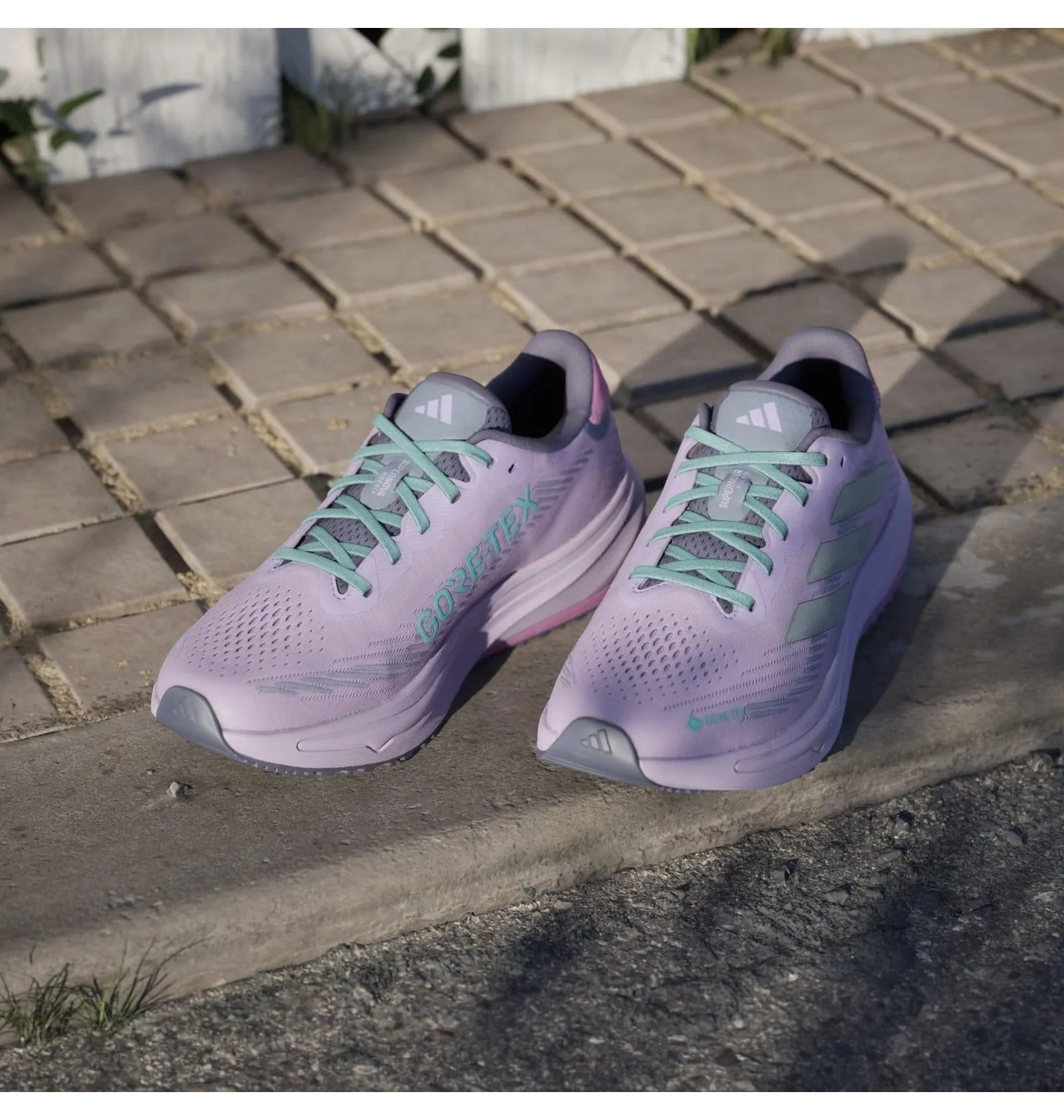 ᐉ Кросівки жіночі Adidas Supernova Rise Gtx Running Violet JQ5486