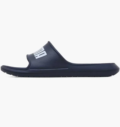 Тапочки мужские Puma Divecat V2 Lite Blue 374823-02