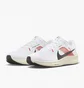 Кроссовки унисекс Nike Pegasus 40 Eliud Kipchoge Road Running Shoes White FJ0686-100