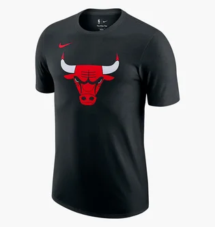 Футболка мужская Nike Essential Logo Black FJ0231-010