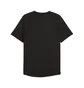 Футболка мужская Puma Pwrmode Training Black 528540-01