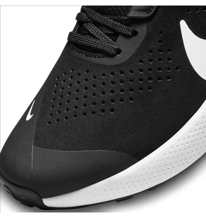 Кроссовки мужские Nike Air Zoom Tr 1 Black DX9016-002