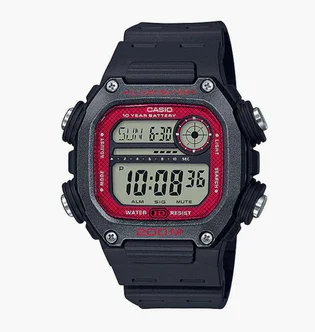 Часы мужские Casio DW-291H-1B