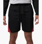 Шорты мужские Air Jordan Jordan Sport MenS Dri-Fit Shorts Black IQ5775-010