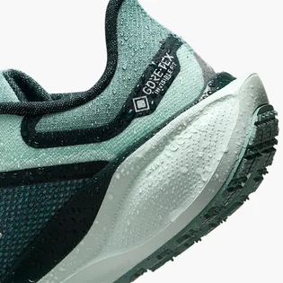 Кросівки жіночі Nike Pegasus 41 Gore Tex Turquoise FQ1357-003