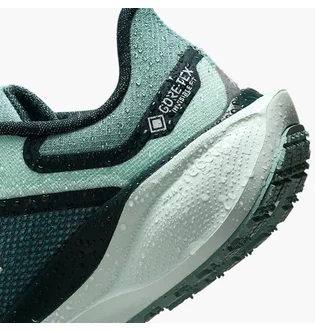 Кроссовки женские Nike Pegasus 41 Gore Tex Turquoise FQ1357-003