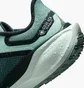 Кросівки жіночі Nike Pegasus 41 Gore Tex Turquoise FQ1357-003