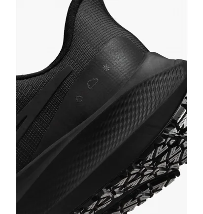 Кросівки жіночі Nike Air Zoom Pegasus 39 Shield Black Do7626-001