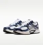 Кросівки чоловічі Nike V5 Rnr MenS Shoes White/Blue HJ5228-109