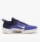 Кроссовки мужские Nike Court Zoom Nxt Hc Violet DH0219-400