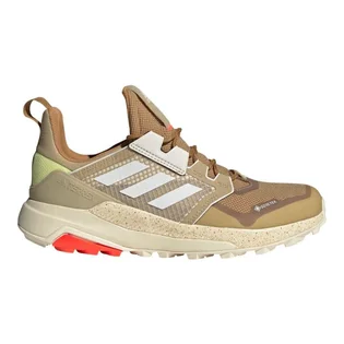 Кроссовки мужские Adidas Terrex Trailmaker Gore-Tex Beige Fz3391