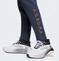 Штани чоловічі Adidas As Roma Seasonal Doubleknit Blue IT3869