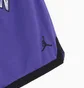 Шорты мужские Nike Air Jordan Jumpman Sport Dna Mesh Short Violet Dm1414-579