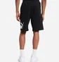 Шорты мужские Puma Big Fleece Logo Shorts Black 84679301