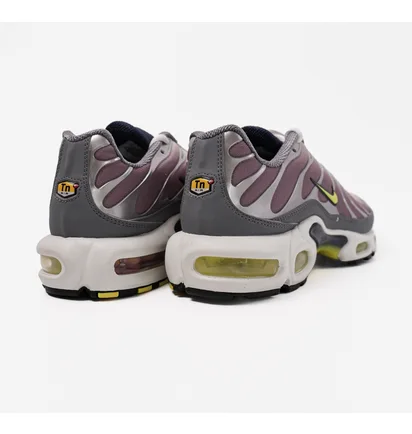 Кроссовки женские Nike Air Max Plus Violet Dust Womens Lifestyle Shoe Violet/White FN8007-500