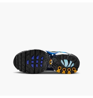 Кроссовки детские Nike Air Max Plus Blue CD0609-032