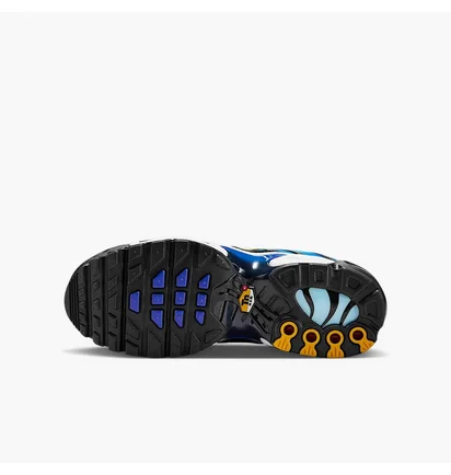Кроссовки детские Nike Air Max Plus Blue CD0609-032