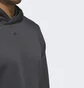 Худи мужское Adidas Select Hoodie Black Ic2418