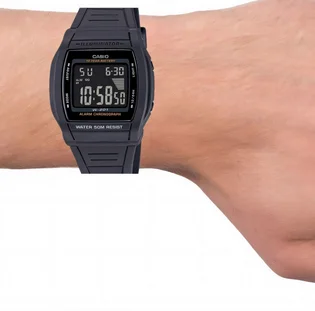 Часы мужские Casio W-201-1B