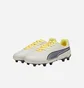 Бутсы детские Puma King Match Fg/Ag Gear Up Beige 107573-03
