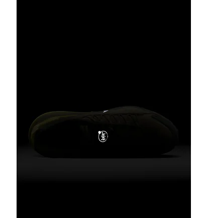 Кросівки чоловічі Nike Air Max Pulse Roam Shoes Olive DZ3544-201