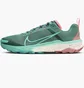 Кросівки чоловічі Nike Terra Kiger 9 Turquoise DR2693-301