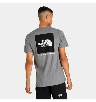 Футболка мужская The North Face Box Nse Tee Grey NF0A4763GVD