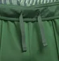 Штани чоловічі Nike Court Green DC0621-341