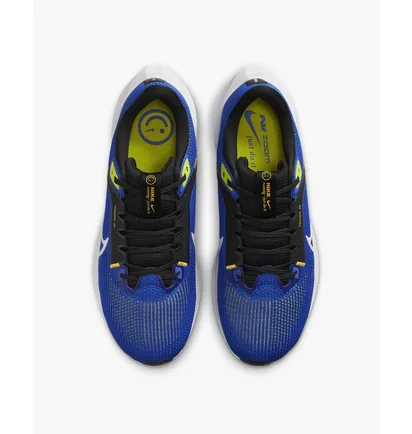 Кросівки чоловічі Nike Pegasus 40 Blue DV3853-401