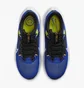 Кросівки чоловічі Nike Pegasus 40 Blue DV3853-401