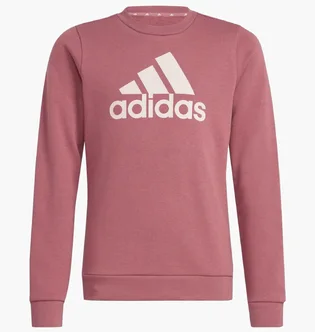 Світшот дитячий Adidas Essentials Big Logo Violet IZ3434