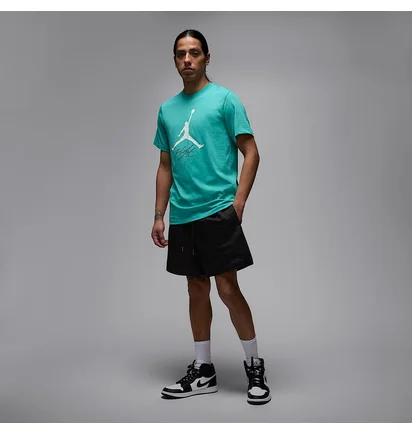 Футболка чоловіча Air Jordan Jumpman Flight Hbr Tee Turquoise AO0664-392