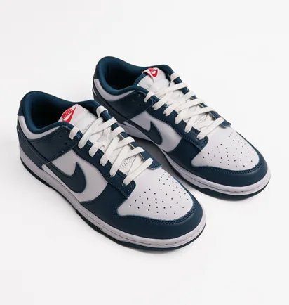 Кроссовки мужские Nike Dunk Low Retro Valerian Blue Dd1391-400