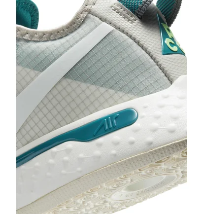 Кросівки унісекс Nike Pg 4 Pcg Grey CZ2240-200