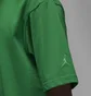 Футболка мужская Air Jordan Wordmark Tee Green FJ1969-302